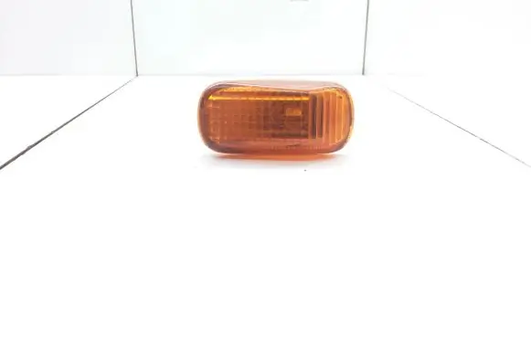 Front fender indicator light