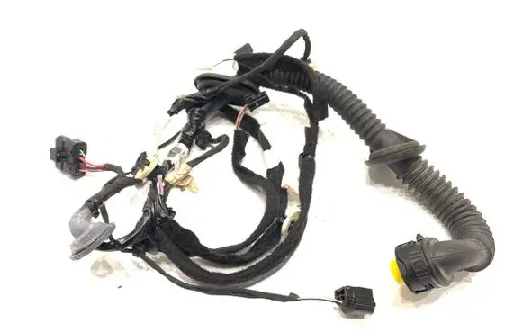 Renault Megane IV Rear door wiring loom 241269652R