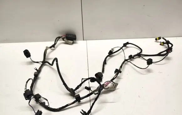 Other wiring loom