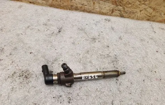 Nissan Qashqai Fuel injector H8200294788 50722
