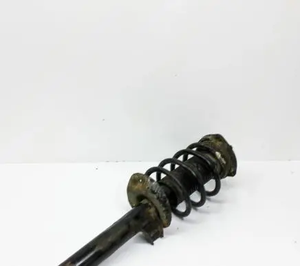 Volkswagen Tiguan Front shock absorber/damper