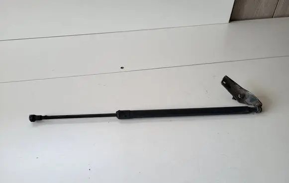 Nissan Pulsar Tailgate/trunk strut/damper 904503ZL1A