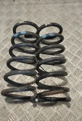 Chevrolet Captiva Rear coil spring