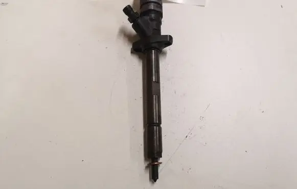 Peugeot 406 Fuel injector 0445110036 9637277980