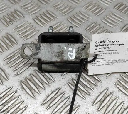 Hyundai Ioniq 5 Tailgate/trunk/boot hinge 72910GI000