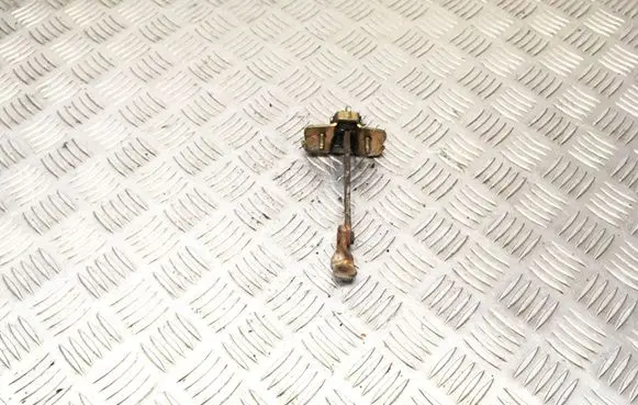 Renault Kangoo I Front door check strap stopper