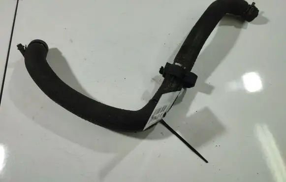 Nissan Almera Tino Engine coolant pipe/hose 