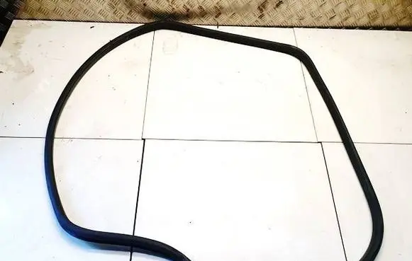 Volkswagen PASSAT B6 Rubber seal front coupe door 