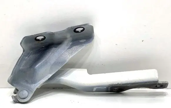 Mazda CX-9 Engine bonnet/hood hinges 