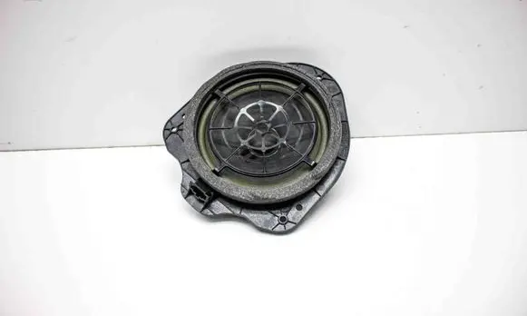 Rear door speaker