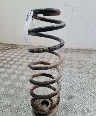 Volkswagen PASSAT B6 Rear coil spring