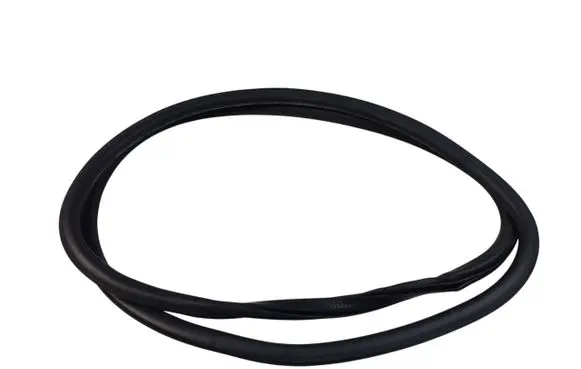 Ford Edge II Front door rubber seal 010440111 W12