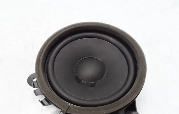 Front door high frequency speaker