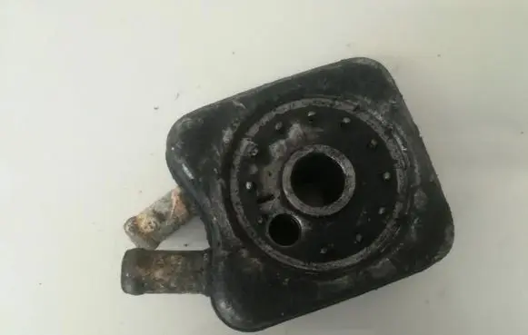 Volkswagen Golf IV Engine oil radiator 