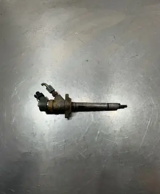 Citroen Berlingo Fuel injector 0445110239