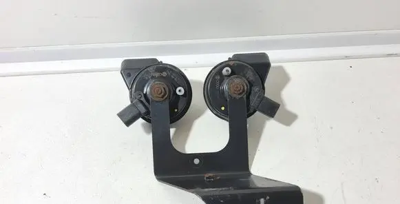 Horn signal