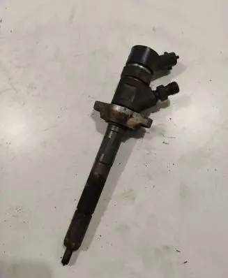 Citroen Berlingo Fuel injector 0445110239