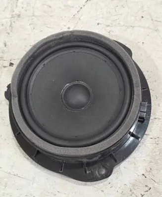 Rear door speaker