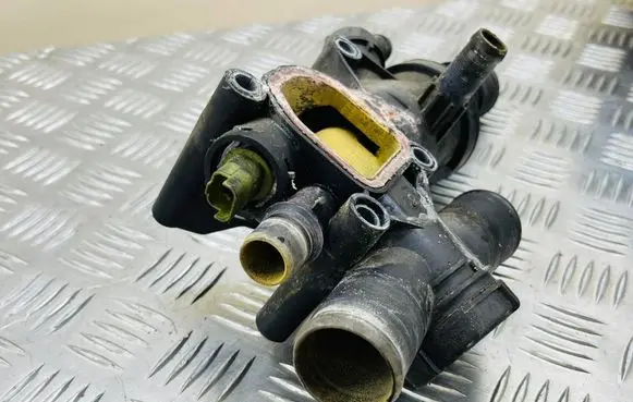 Thermostat/thermostat housing