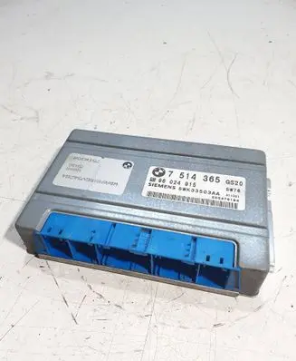 BMW 5 E39 Gearbox control unit/module 7514365 5WK33503AA 96024915