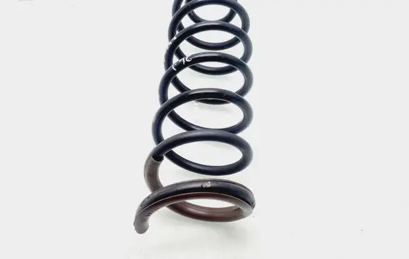 Rear coil spring