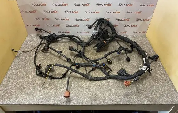 Opel Insignia A Engine installation wiring loom 22869644 UA997251 715023401C