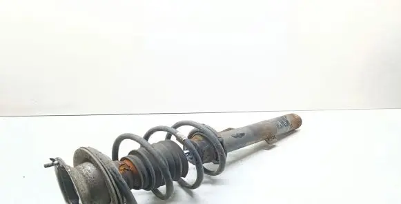 Front shock absorber with coil spring