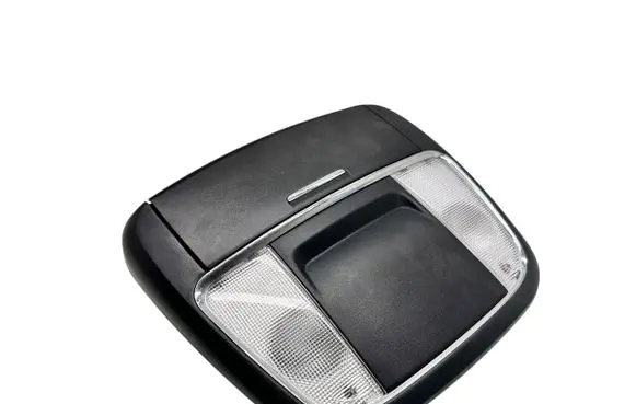 Dodge Charger Front seat light 2115256 5042547