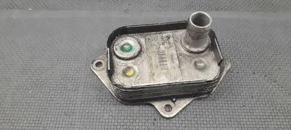 Mercedes-Benz A W168 Engine oil radiator A6681800065