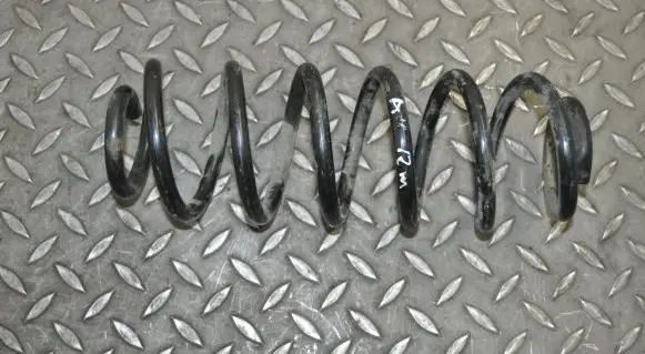 Rear coil spring