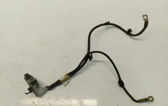 Citroen Berlingo Positive cable (battery) 9838239980