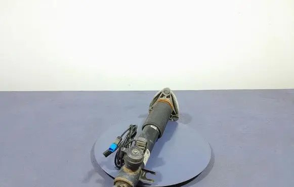 BMW X6 F16 Rear shock absorber/damper 6875087