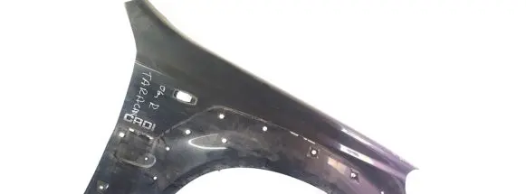 Hyundai Terracan Fender