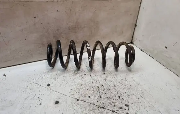 Rear coil spring