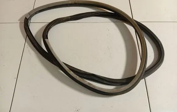 Renault Laguna III Rubber seal front coupe door 