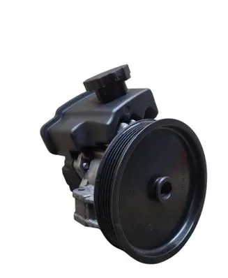 Mercedes-Benz E W211 Power steering pump 7691332154
