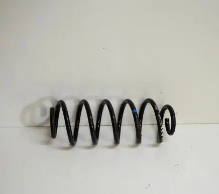 Skoda Octavia Mk2 (1Z) Rear coil spring
