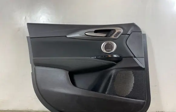 Alfa Romeo Tonale Front door card panel trim MY0467342FP849