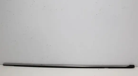 Citroen C5 Front door glass trim molding