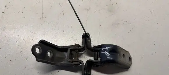 KIA Sportage Front door lower hinge