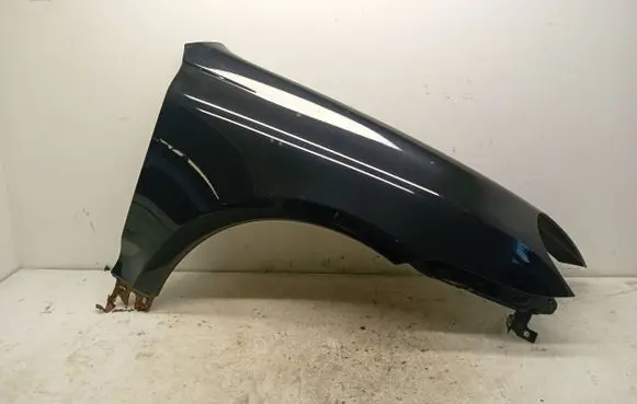 Porsche Cayenne (9PA) Fender