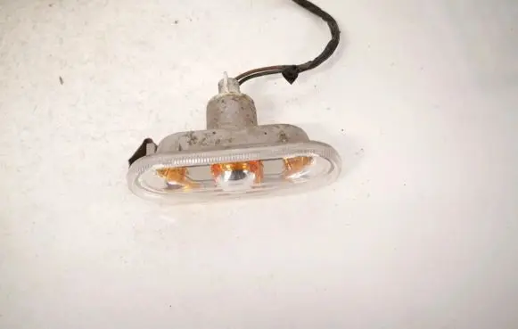 Front fender indicator light