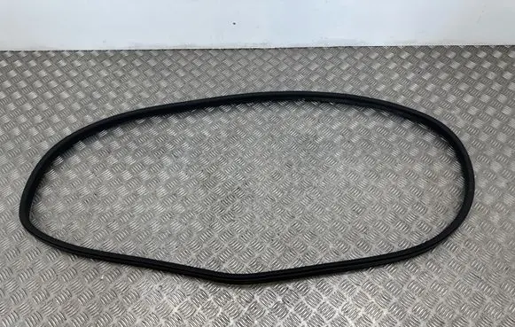Fisker Ocean Rear door rubber seal (on body)