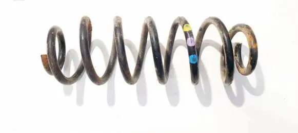 Volkswagen PASSAT B6 Rear coil spring