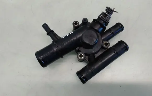Thermostat/thermostat housing