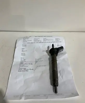 Mercedes-Benz E W211 Fuel injector A6420700487 050421 0445115017