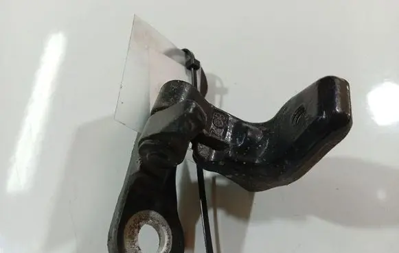 Opel Signum Rear door lower hinge