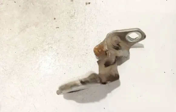 Ford Focus Rear door lower hinge