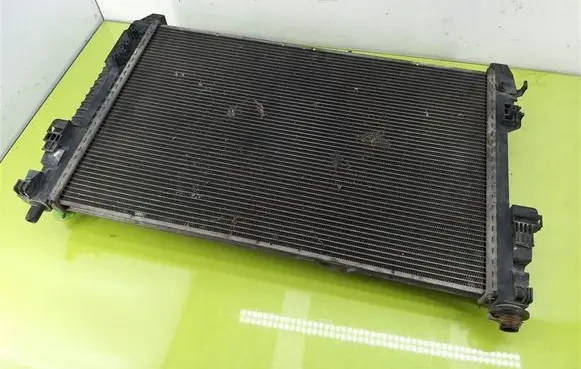 Mercedes-Benz A W169 Coolant radiator A1695000703