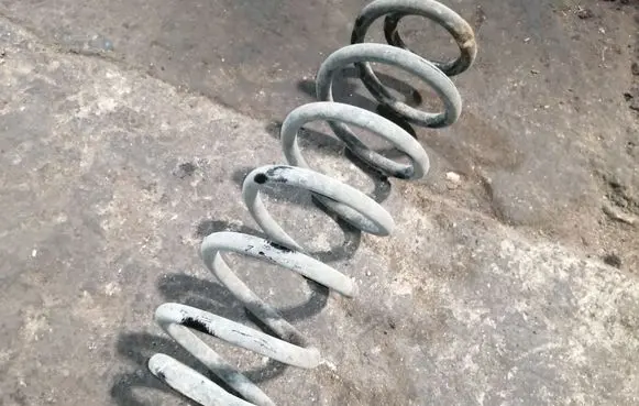 Rear coil spring